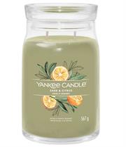 Yankee Candle Sage & Citrus Medium Jar